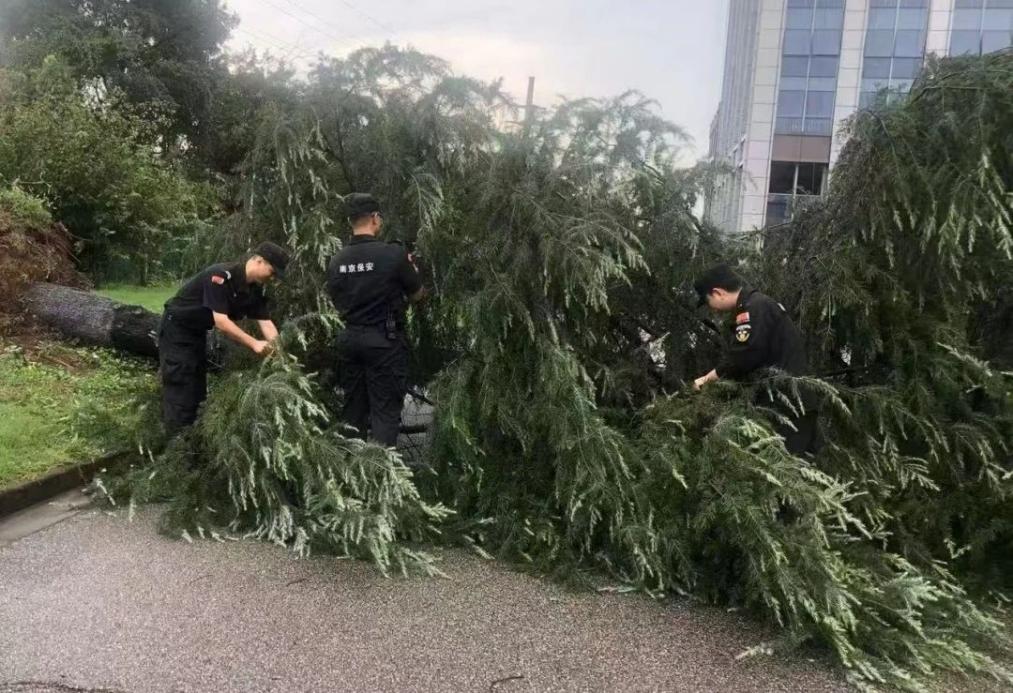 C:/Users/BA/Desktop/風(fēng)雨過后南京保安迅速行動，恢復(fù)安“寧”面貌/1.jpg1